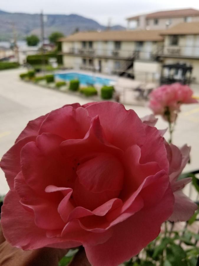 Osoyoos Lakeview Inn & Suites المظهر الخارجي الصورة