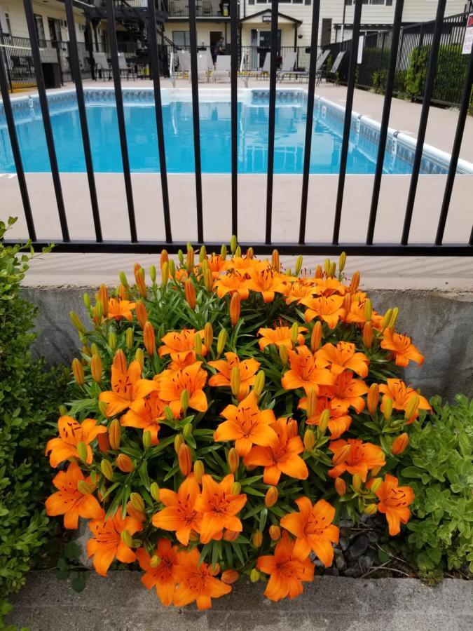 Osoyoos Lakeview Inn & Suites المظهر الخارجي الصورة